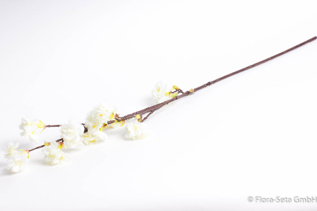 Kirschblütenzweig Farbe: creme-weiß