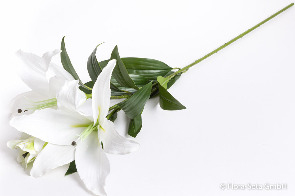 Lilie XL mit 2 Blüten und 1 Knospe "real touch" Farbe: weiß