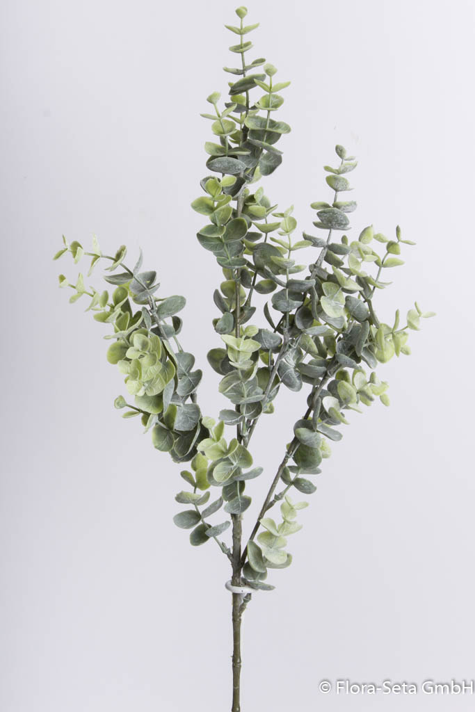 Eukalyptuszweig, Höhe ca. 68 cm, Farbe: grün-hellgrün