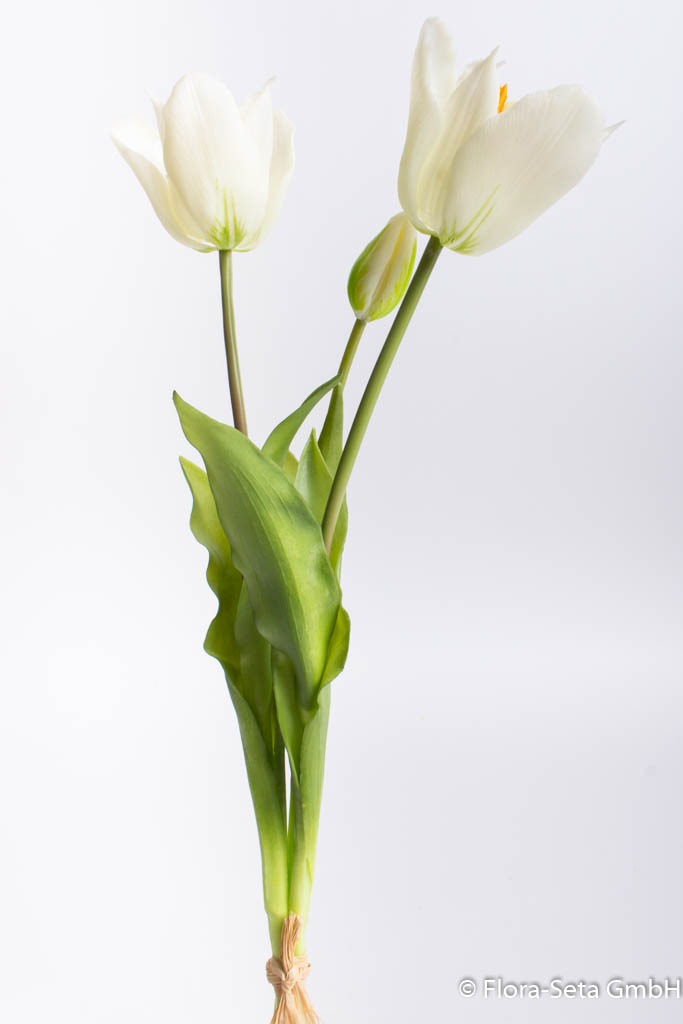 Tulpenbündel offen mit 3 Stielen, Farbe: creme-weiß "real touch"