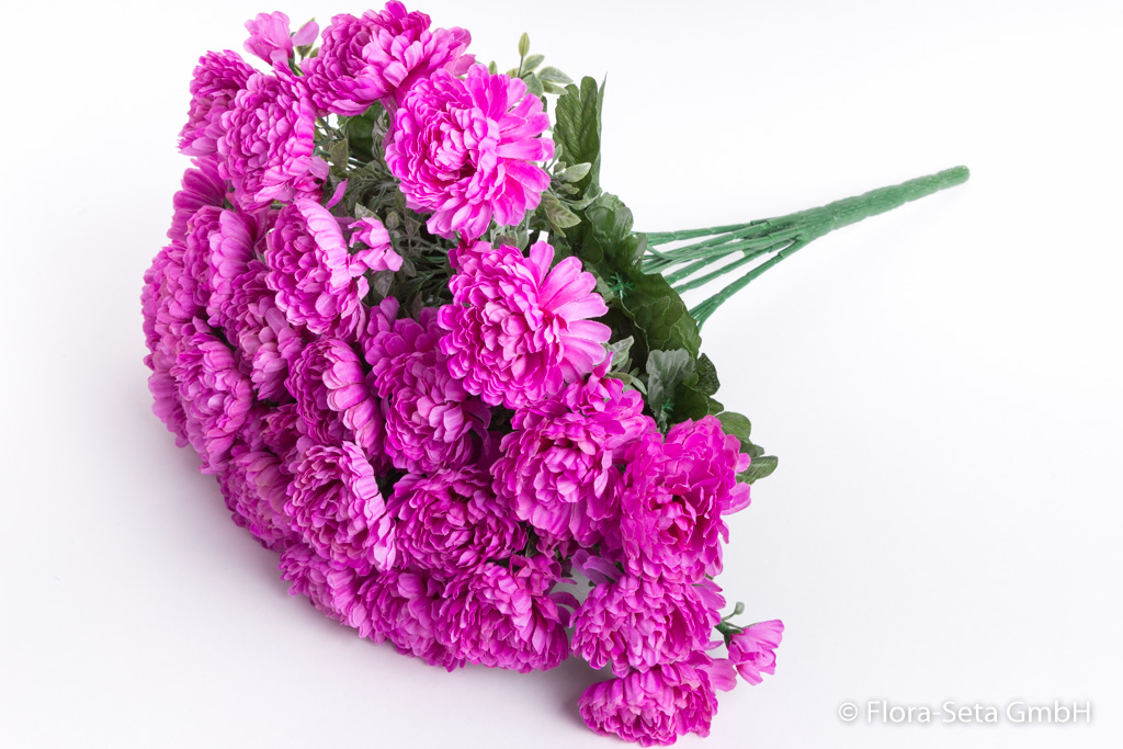 Chrysanthemenstrauß mit 7 Stielen, 28 großen Blüten Farbe: purple