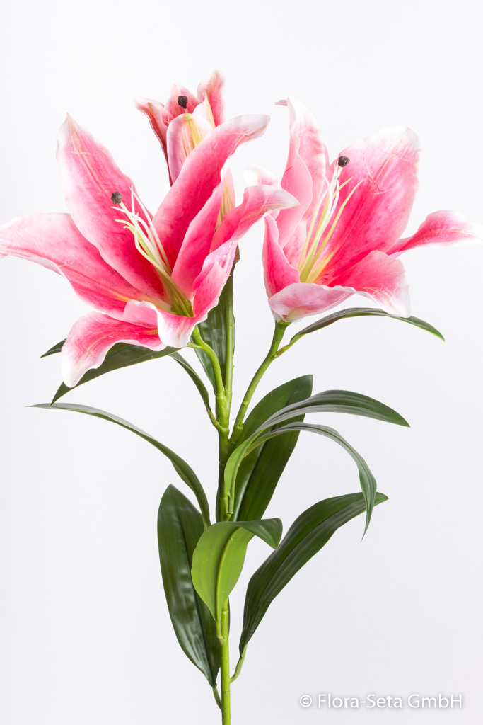 Lilie XL mit 2 Blüten und 1 Knospe "real touch" Farbe: hellpink-dunkelpink
