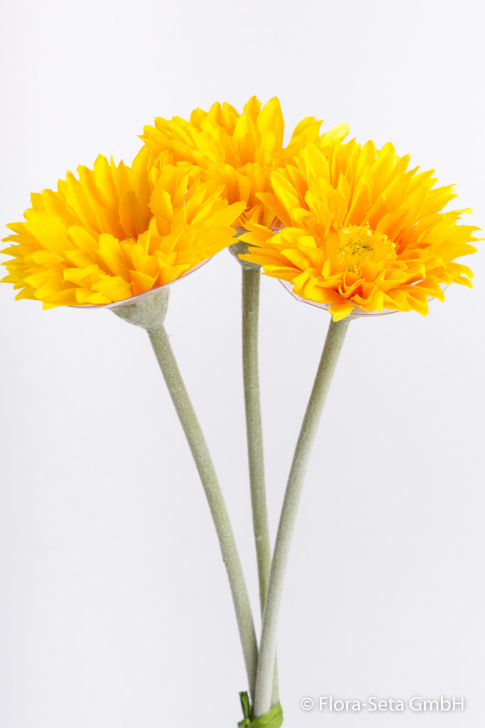 Gerberabündel mit 3 Blüten Farbe: gelb