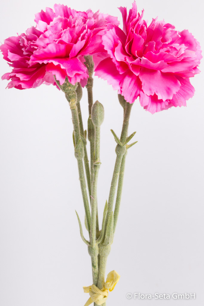 Nelken-Bündel mit 3 Blüten Farbe: pink