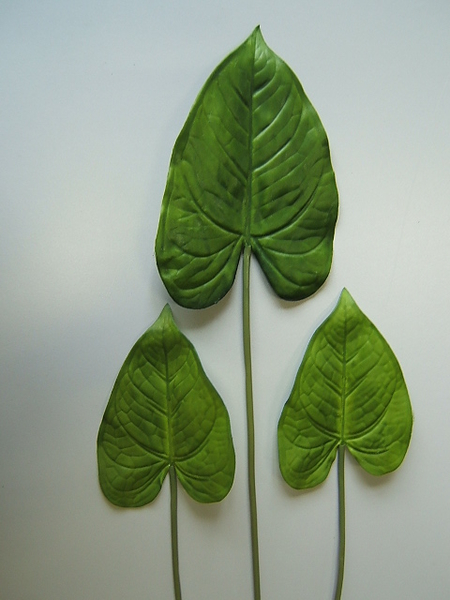Anthurienblätter (3er Set) Farbe: grün