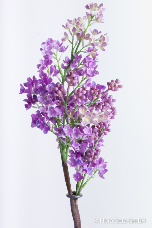 Fliederzweig natural Farbe: violett