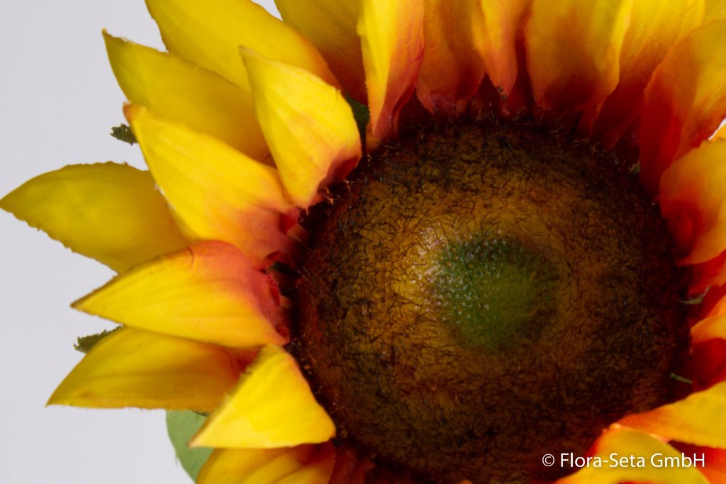 Sonnenblume mit 5 Blättern, 85 x 9 cm