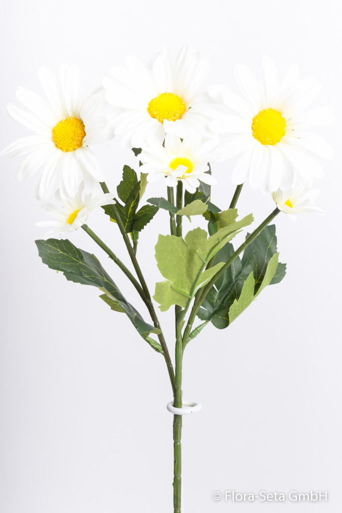 Margeritenzweig mit 6 Blüten Farbe: creme-weiß
