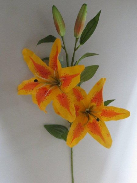 Lilie groß mit 2 Blüten und 2 Knospen Farbe:gelb-orange