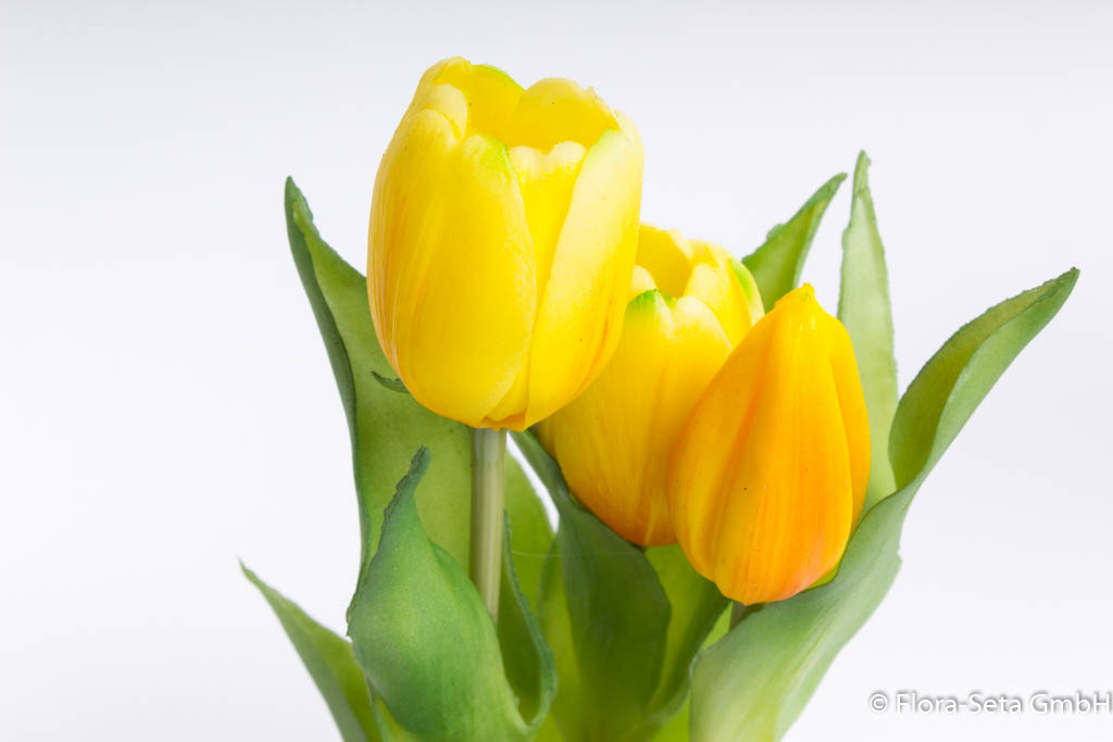 Steh-Tulpe Sally mit 2 Tulpen und 1 Tulpenknospe Farbe: gelb "real Touch"