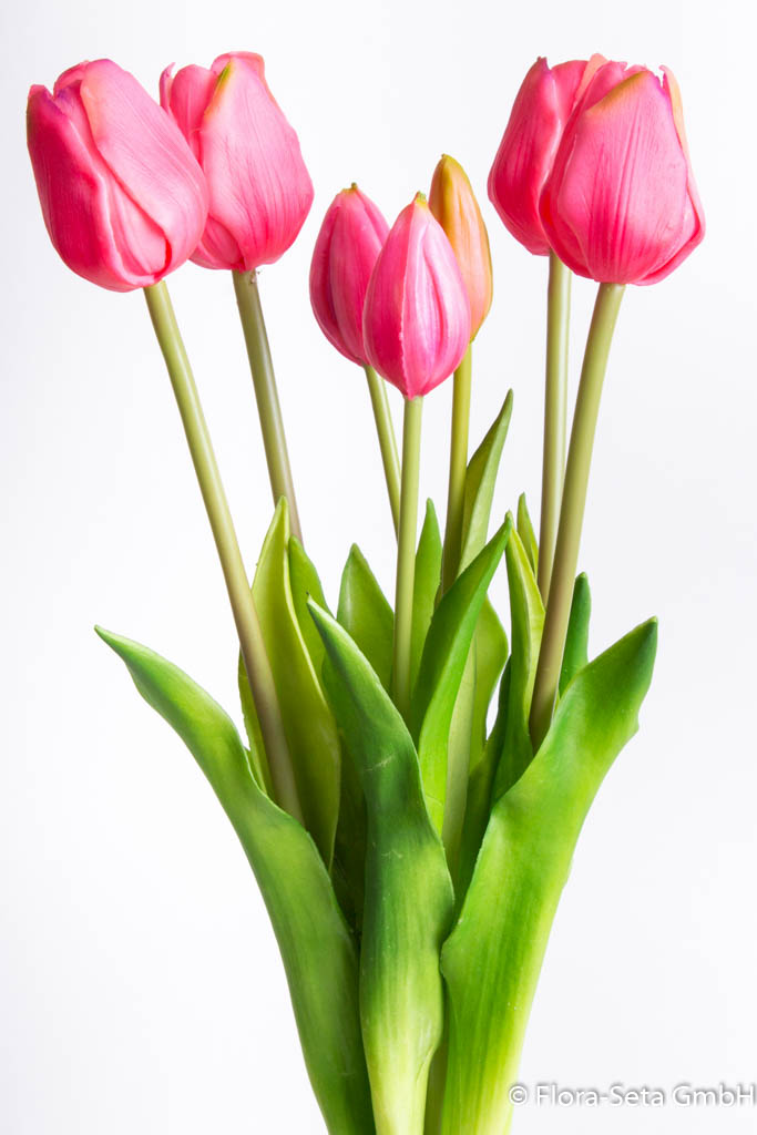 Tulpenbündel mit 4 Tulpen und 3 Tulpenknospen Farbe: beauty "real Touch"
