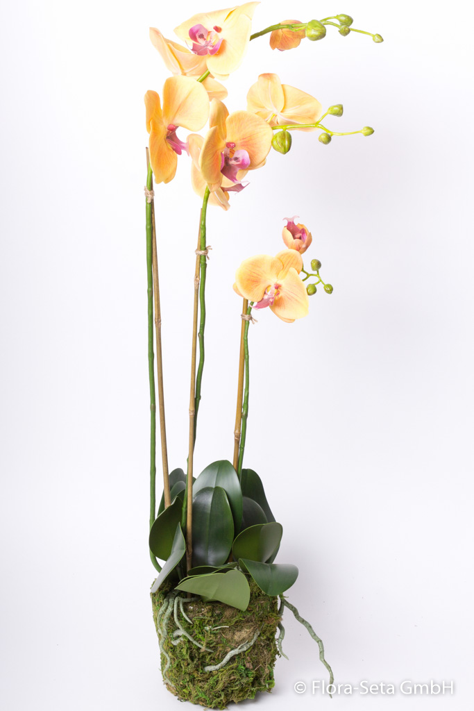 Orchidee auf künstlichem Moosballen mit 3 Stielen "real touch" Farbe: orange-beauty