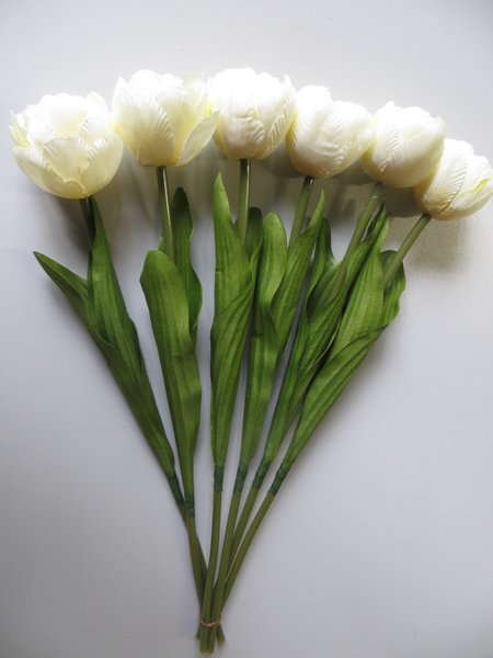 Tulpe Nova mit 2 Blättern (1 Einheit = 6 Stück) Farbe: creme-hellgelb