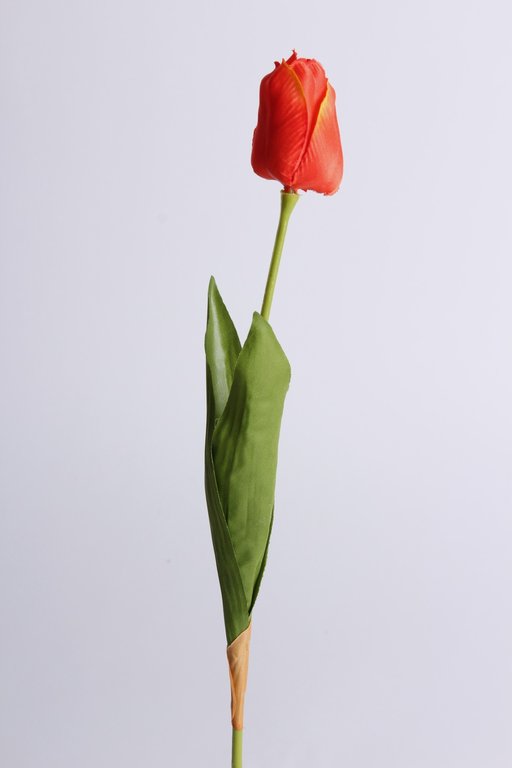 Tulpe mit 2 Blättern Farbe: orange