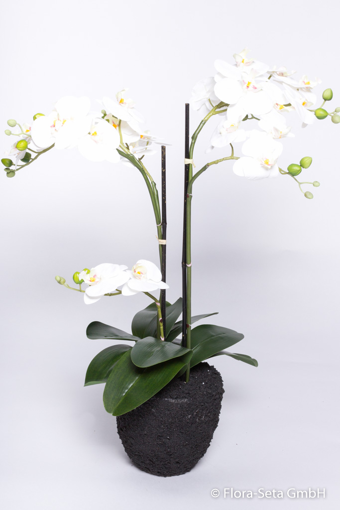 Orchidee auf künstlichem Erdballen mit 3 Stielen und 7 Rispen "real touch" Farbe: creme-weiß