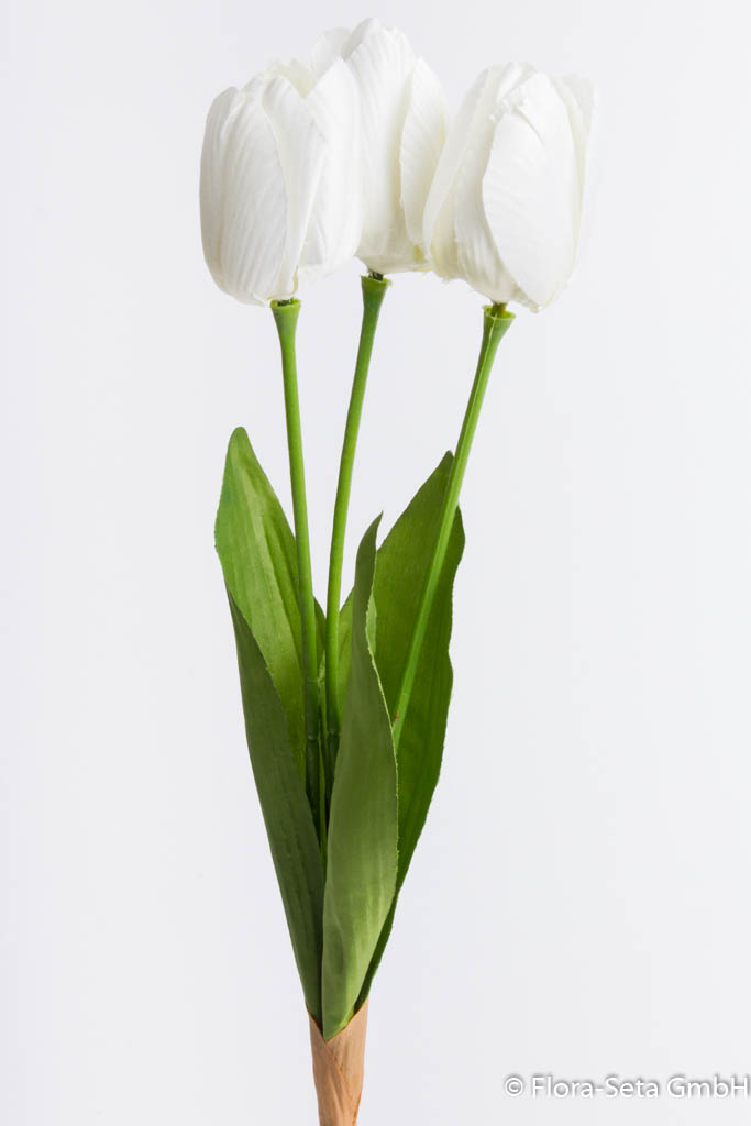 Tulpenbund mit 3 Tulpen und 3 Blättern Farbe: creme-weiß