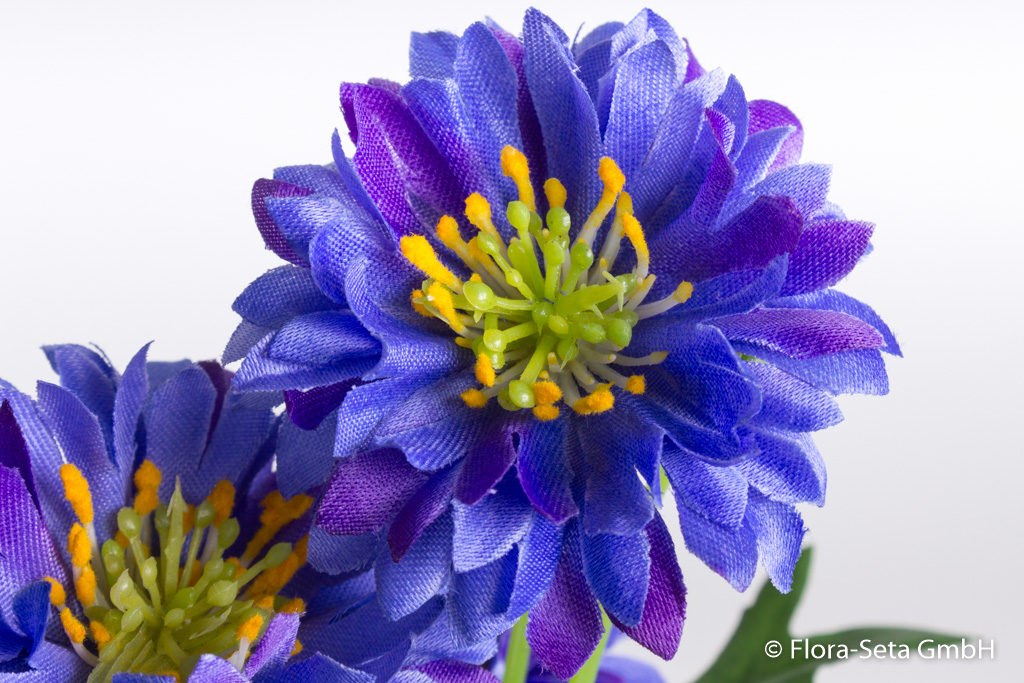 Kornblume mit 4 Blüten und Blättern Farbe: blau-lila
