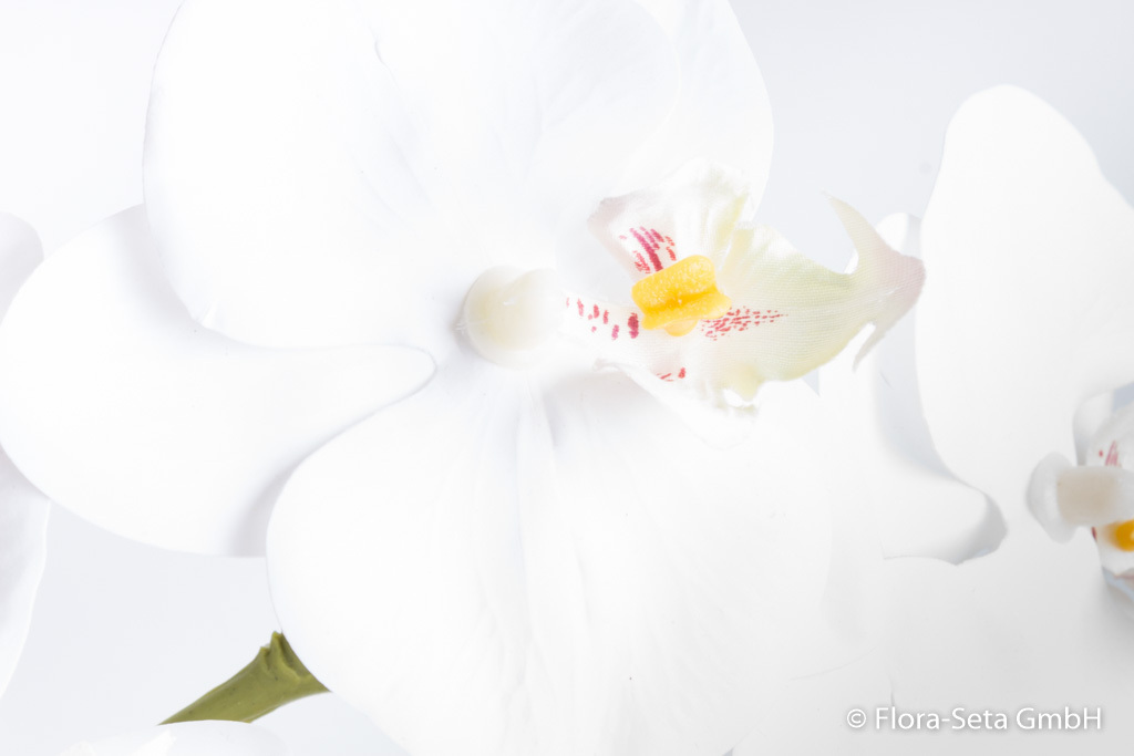 Orchidee auf künstlichem Erdballen mit 1 Stiele und 3 Rispen "real touch" Farbe: creme-weiß