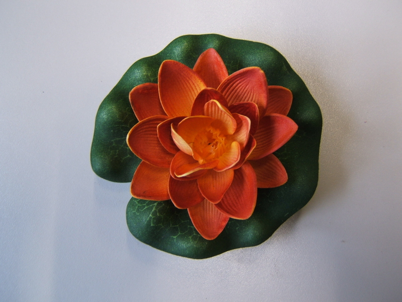 Seerose (Lotus) auf Blatt Farbe:dunkelorange