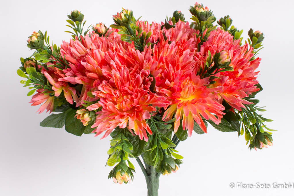 Chrysanthemenstrauß mit 40 Blüten Farbe: lachs