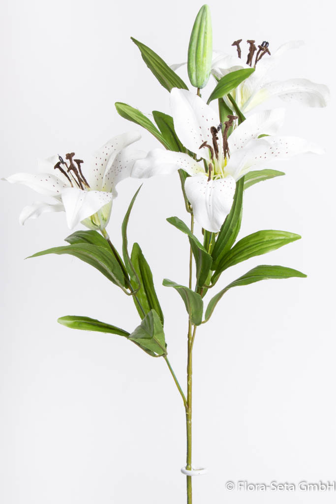 Lilie mit 3 Blüten, 1 Knospe und Blättern, Farbe: creme-weiß