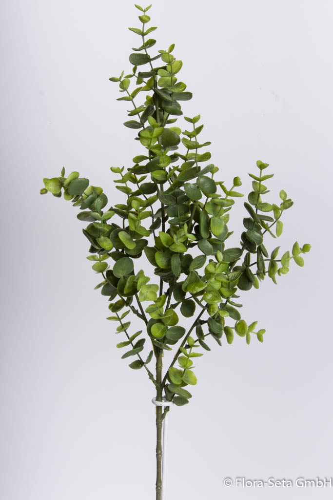 Eukalyptuszweig, Höhe ca. 68 cm, Farbe: grün