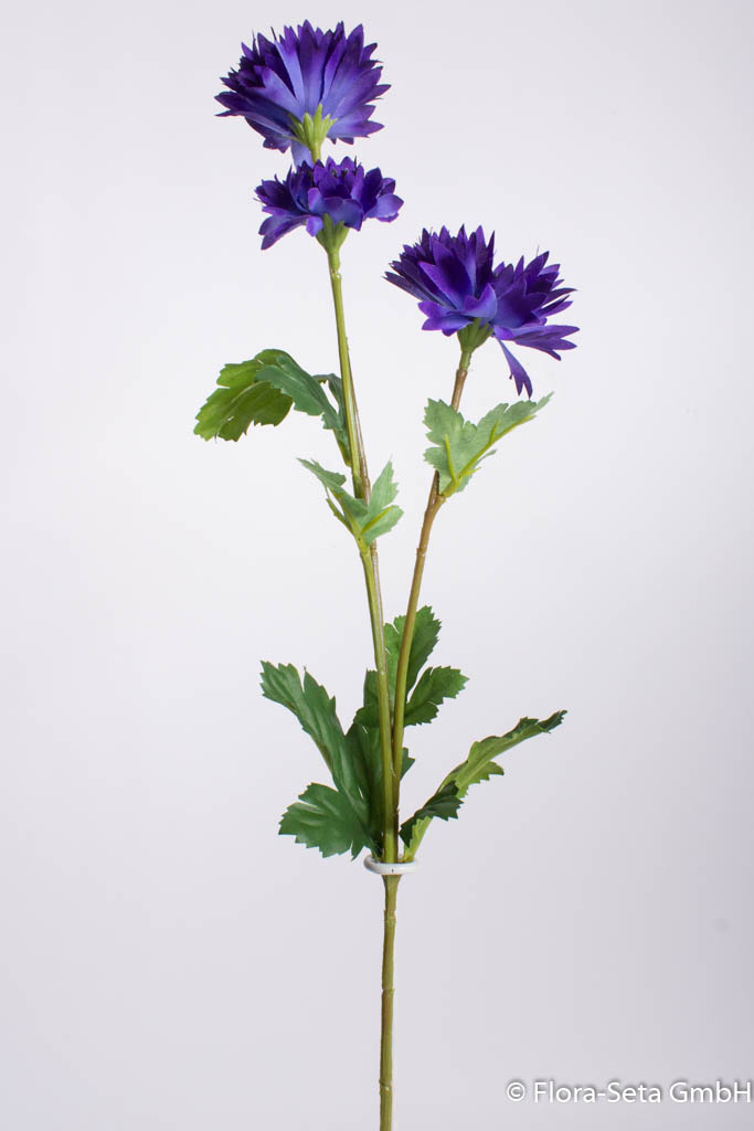 Kornblume mit 3 Blüten Farbe: blau-lila