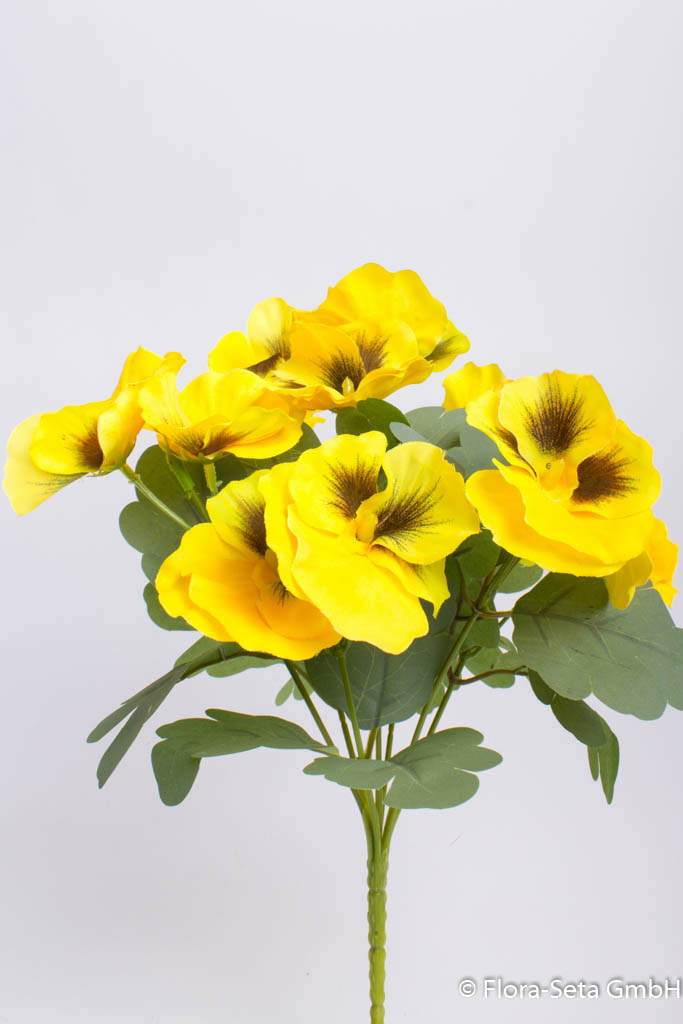 Stiefmütterchenbusch mit 7 Stielen Farbe: gelb
