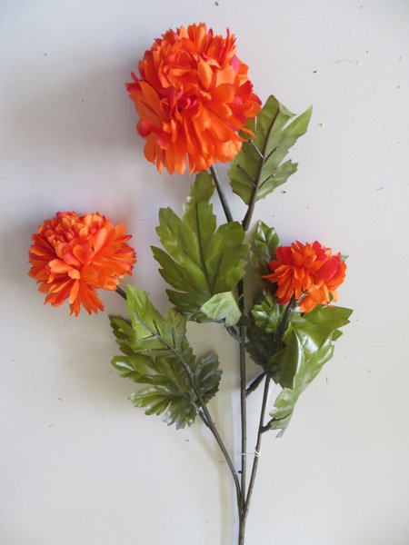 Chrysantheme mit 3 Blüten Farbe:dunkelorange