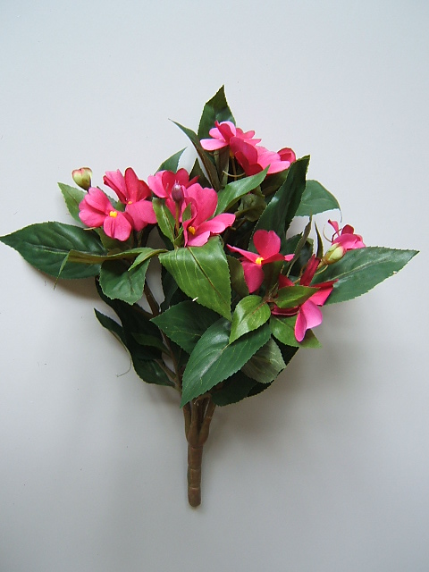 Impatiensbusch (Fleissiges Lieschen) mit 5 Stielen und 11 Blüten Farbe:beauty