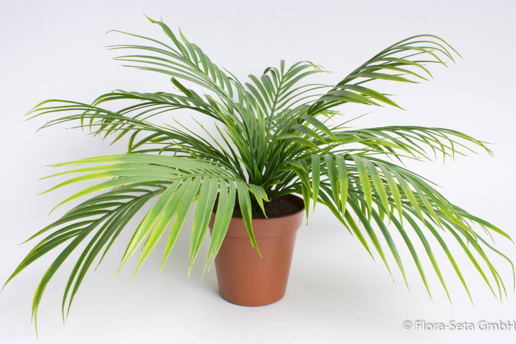 Areca Palmbusch mit 14 Blättern im braunen Kunststofftopf