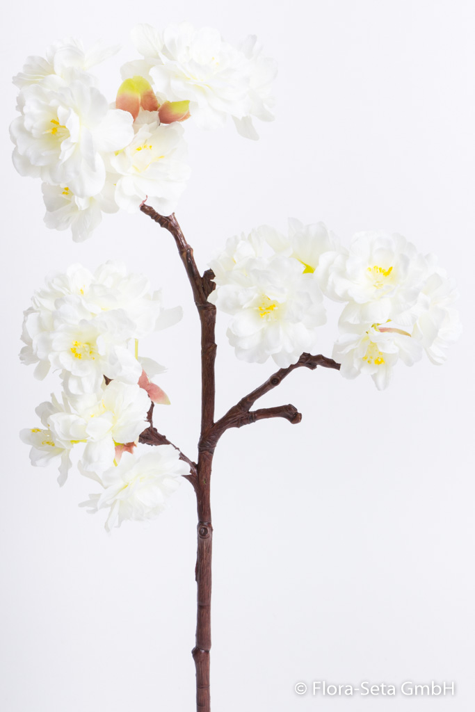 Kirschblütenpick Farbe: creme-weiß