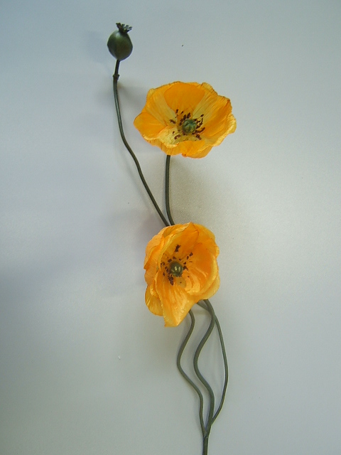 Mohnblume mit 1 Knospe und 2 Blüten Farbe:gelb