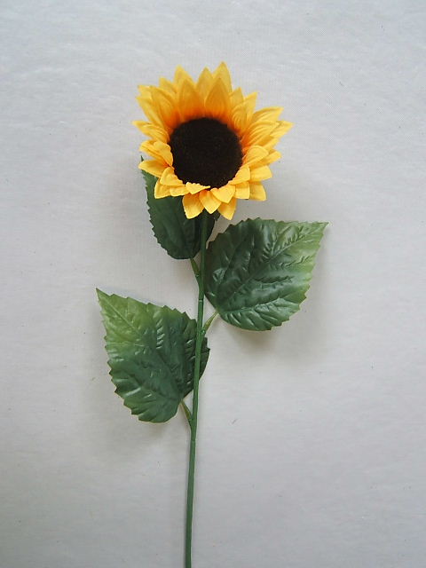 Sonnenblume mit 3 Blättern