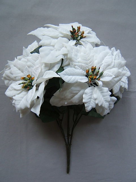 Poinsettienbusch mit 5 Stielen und 5 großen Blüten Farbe:weiß