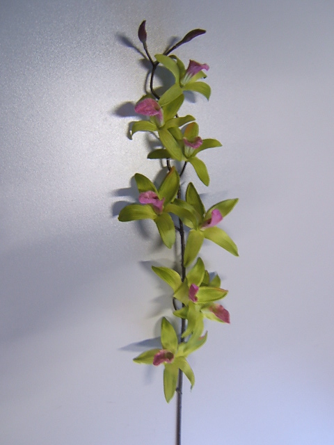 Orchideenzweig mit 8 Blüten Farbe:grün mit purplefarbener Mitte