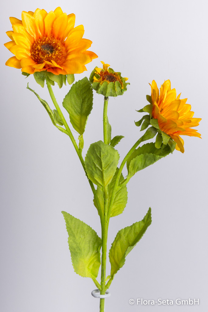 Sonnenblume mit 2 Blüten, 1 Knospe Farbe: gelb-orange