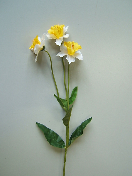 Narzisse mit 3 Blüten und 5 Blättern Farbe: weiß mit gelber Mitte