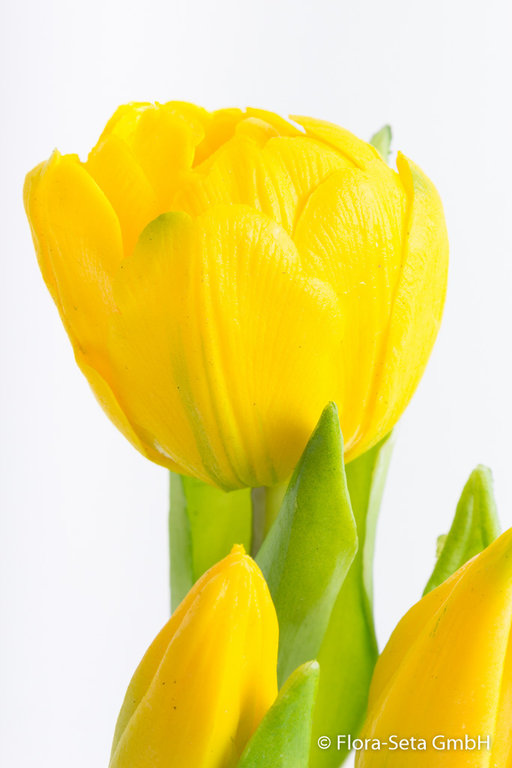 Tulpenset mit 1 Blüte und 2 Knospen in schwarzem Kunststofftopf "real touch" Farbe: gelb