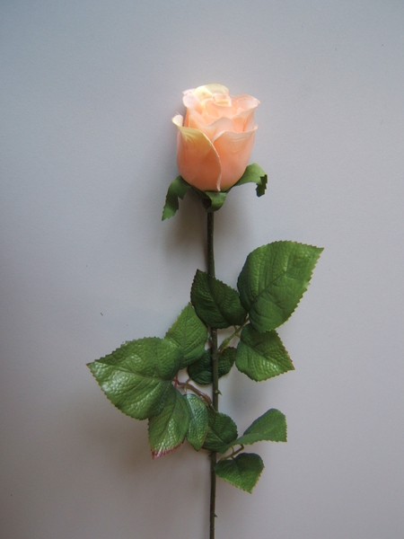 Rose Präsent halboffen mit 9 Blättern Farbe:peach