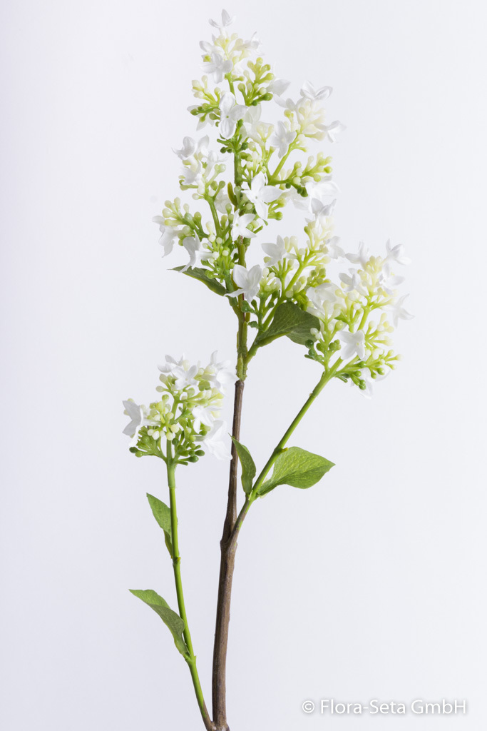 Fliederzweig mit 3 Blüten und 4 Blättern Farbe: creme-weiß