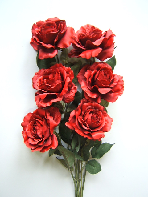 Rose Promotion offen (6er-Bündel) Farbe:rot