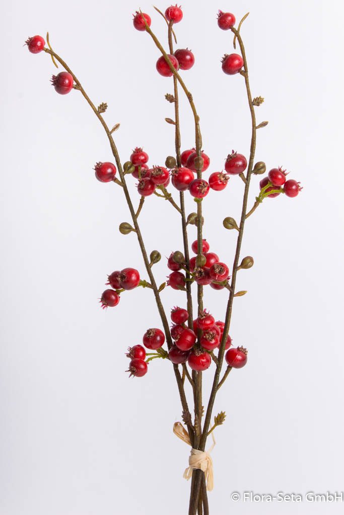 Beerenpick (4 Stück im Bund) Farbe: rot