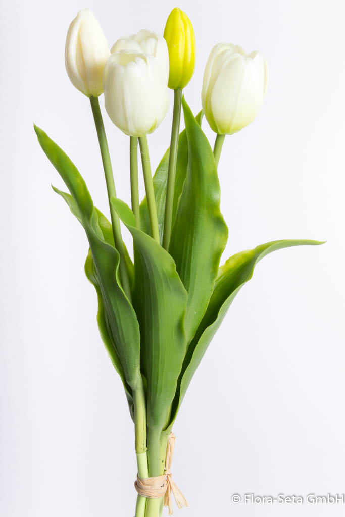Tulpenbündel Holland mit 3 Tulpen und 2 Tulpenknospen Farbe: creme-weiß "real Touch"