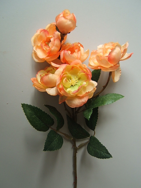 Wildrosenzweig mit 5 Blüten und 1 Knospe (3Stück-Packung)