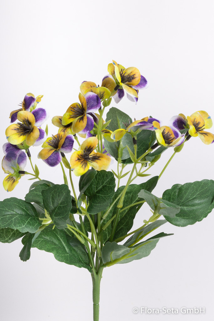Stiefmütterchenbusch (Hornveilchen) mit 9 Stielen Farbe: gelb-purple