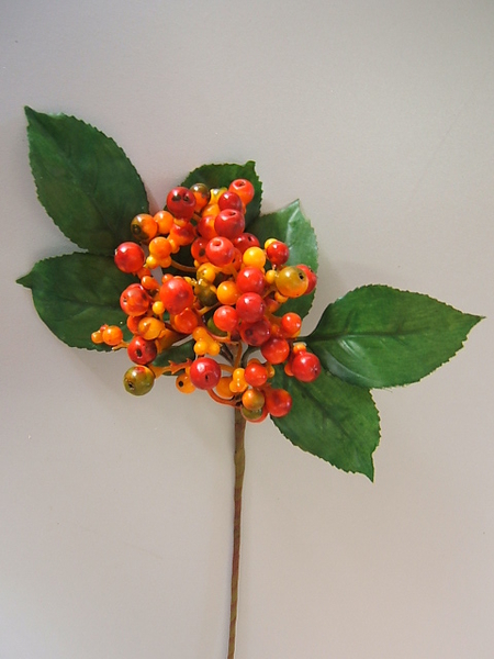 Beerenzweig mit Blätter Farbe: orange-rot
