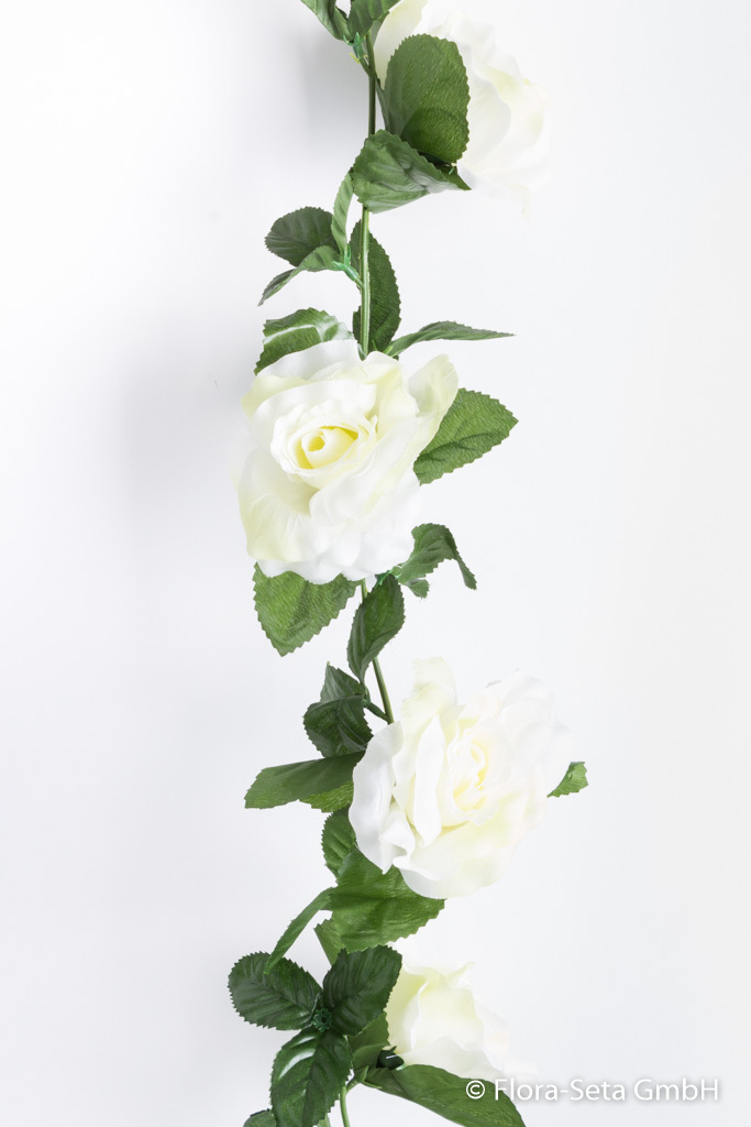 Rosengirlande mit 13 Rosen Farbe: creme-weiß
