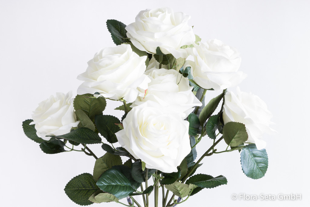 Rosenbusch Dijon mit 10 Rosen Farbe: weiß