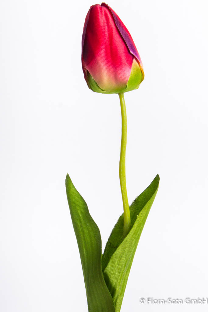 Tulpe mit 2 Blättern Farbe: rot-dunkelrot